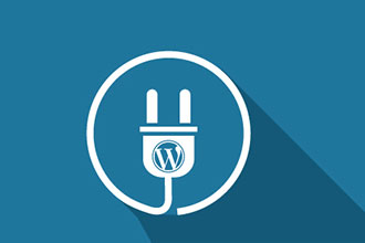 Plugin Optimization