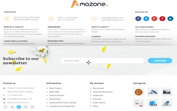 Footer with Fully Information